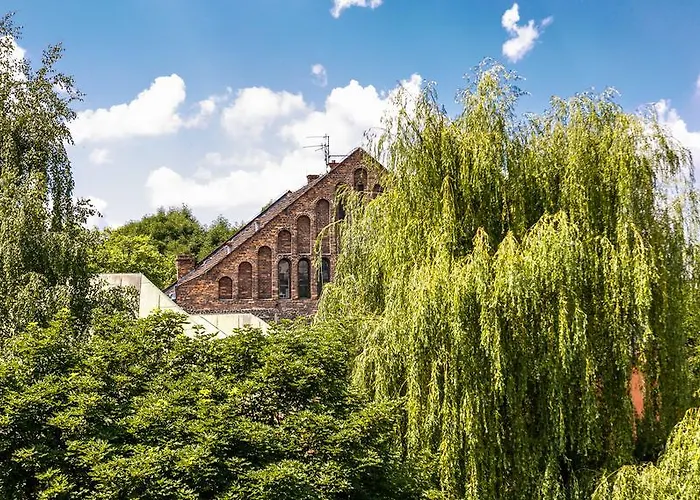 Happy كراكوفيا